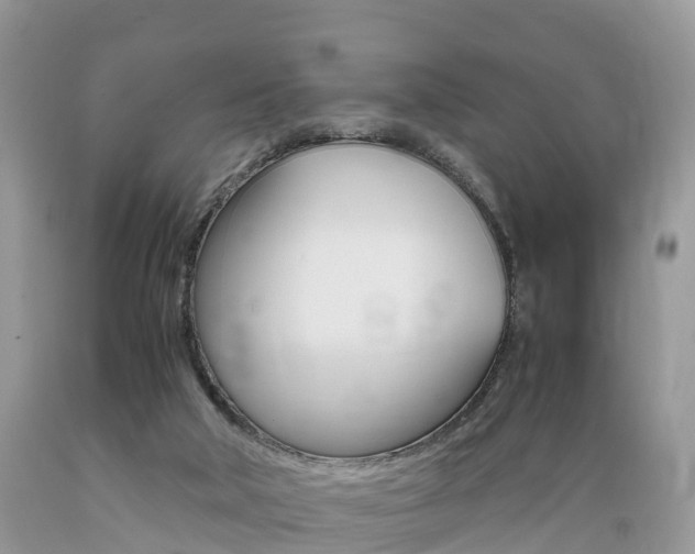 X0000089670018200706210803