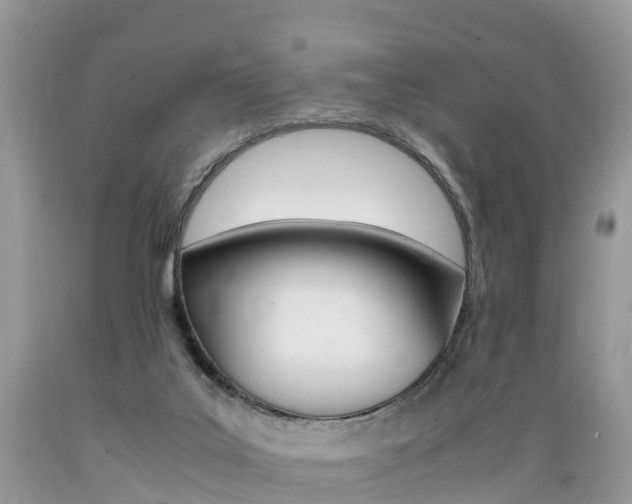 X0000089670019200706210803