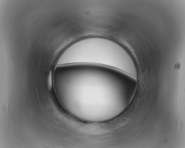 X0000089670020200706210803