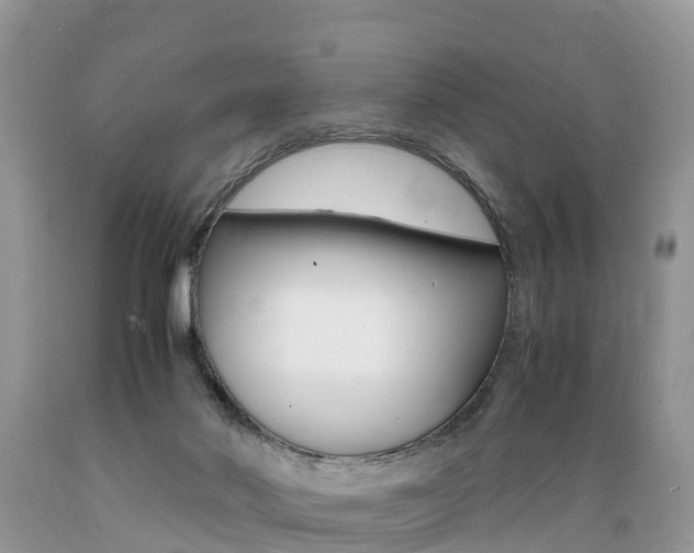 X0000089670022200706210803