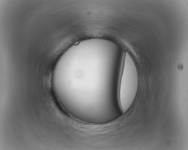 X0000089670023200706210803