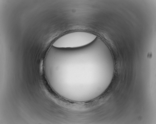 X0000089670024200706210803