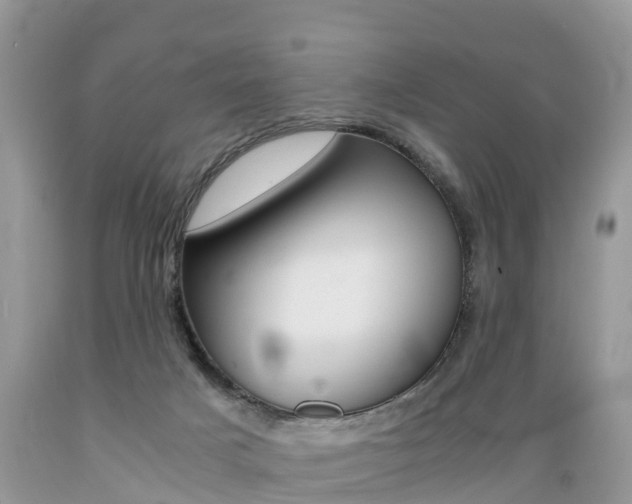 X0000089670025200706210803