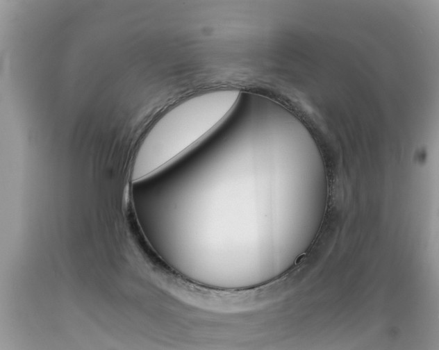 X0000089670027200706210803
