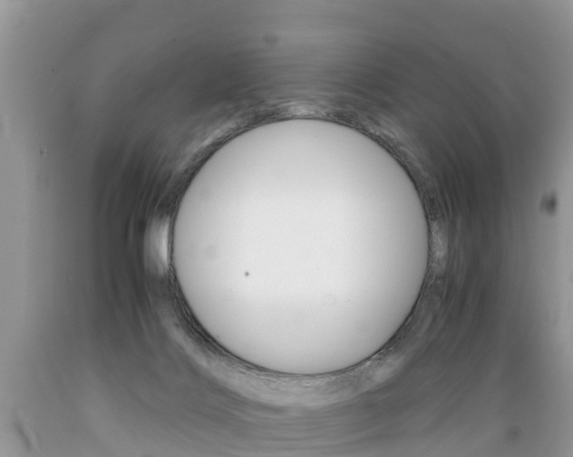 X0000089670028200706210803