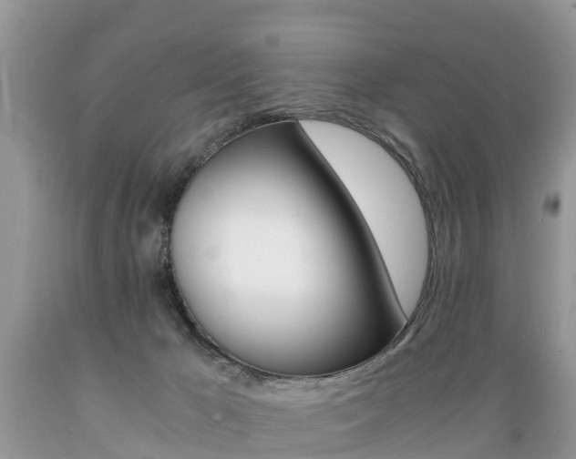 X0000089670029200706210803
