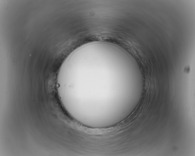 X0000089670030200706210803