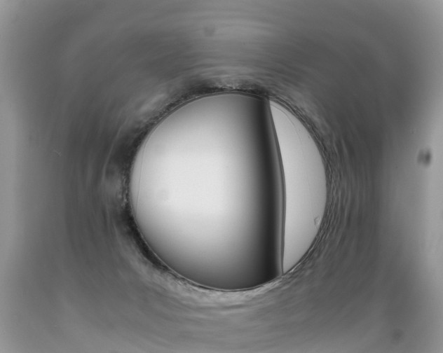 X0000089670031200706210803