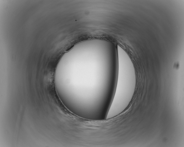 X0000089670033200706210803
