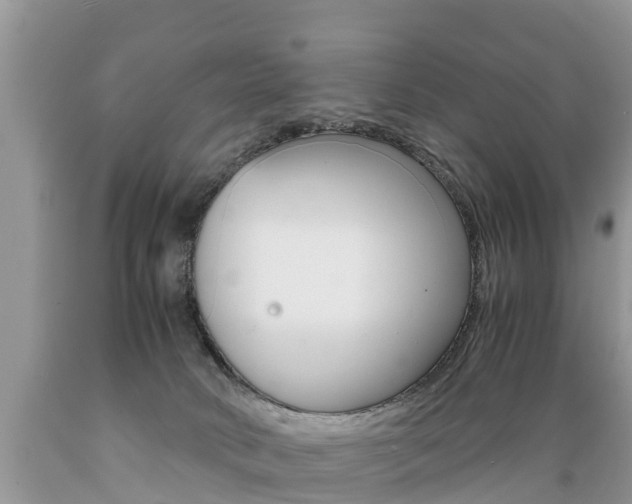 X0000089670034200706210802