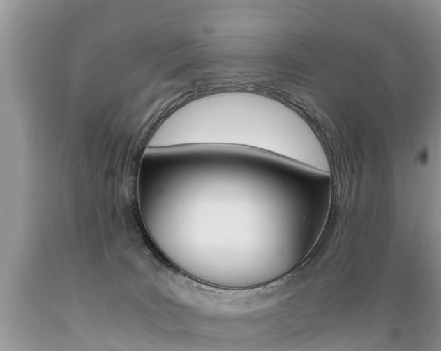 X0000089670035200706210802