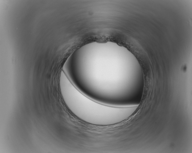 X0000089670037200706210802