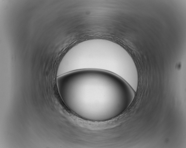 X0000089670039200706210802