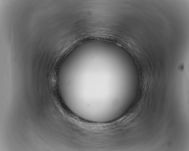 X0000089670040200706210802