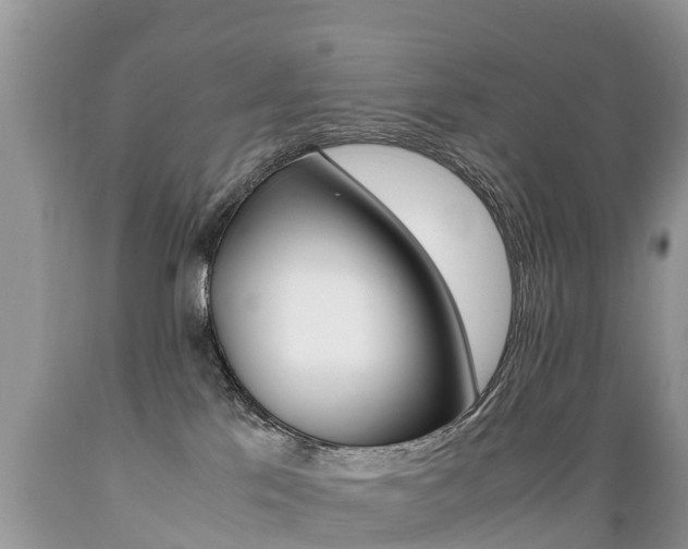 X0000089670041200706210802