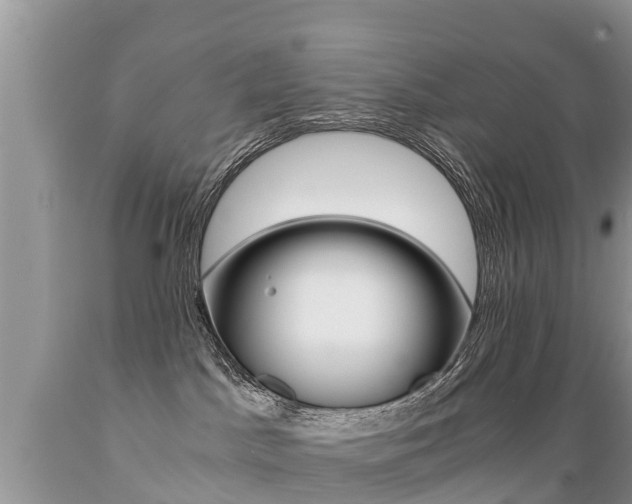 X0000089670045200706210802