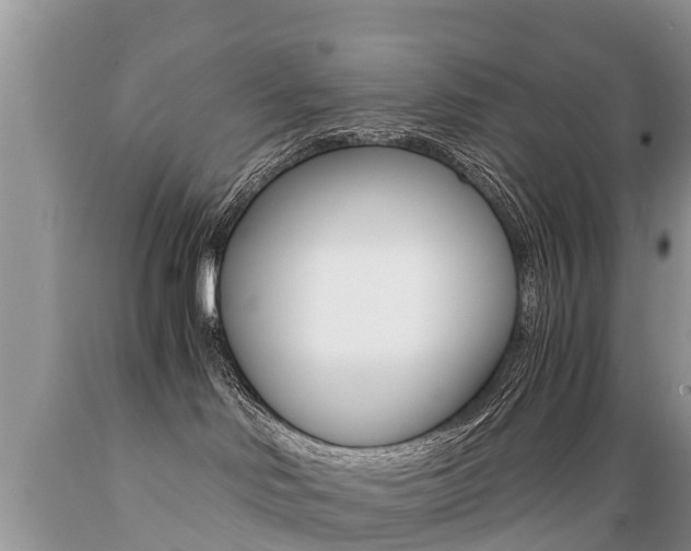 X0000089670046200706210802