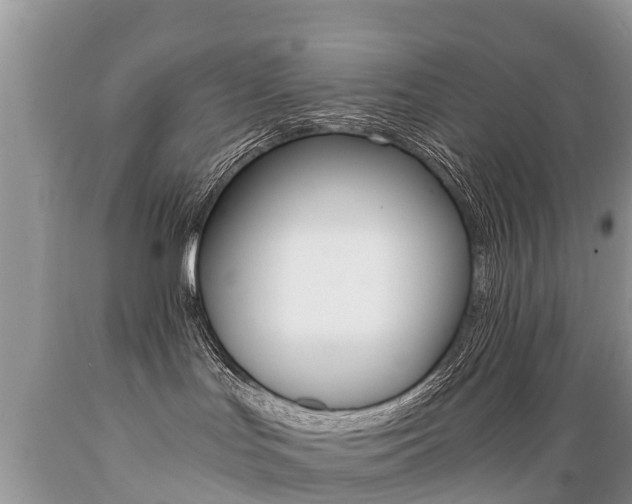 X0000089670047200706210802