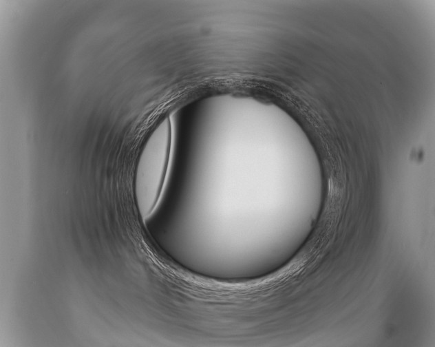 X0000089670048200706210802