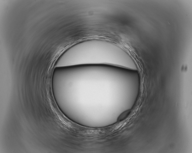 X0000089670049200706210802