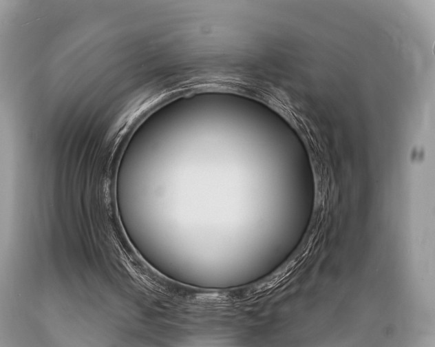 X0000089670050200706210802