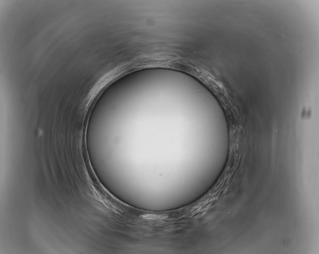 X0000089670051200706210802