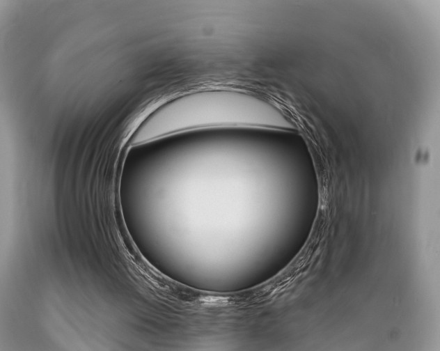 X0000089670052200706210802