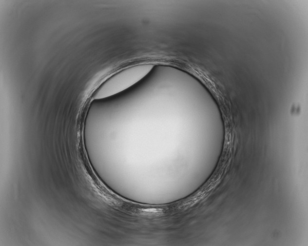 X0000089670053200706210802