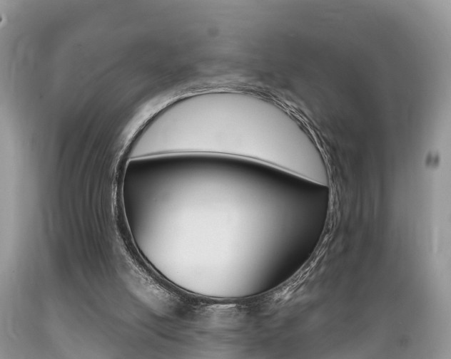 X0000089670054200706210802