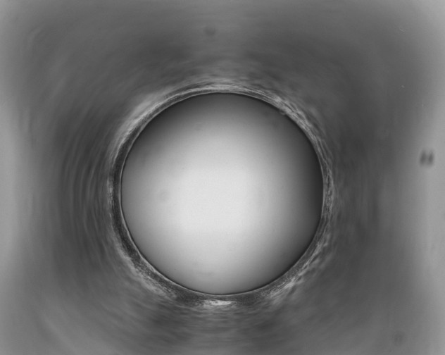 X0000089670055200706210802
