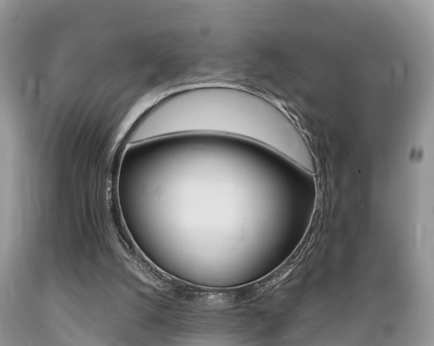 X0000089670056200706210802