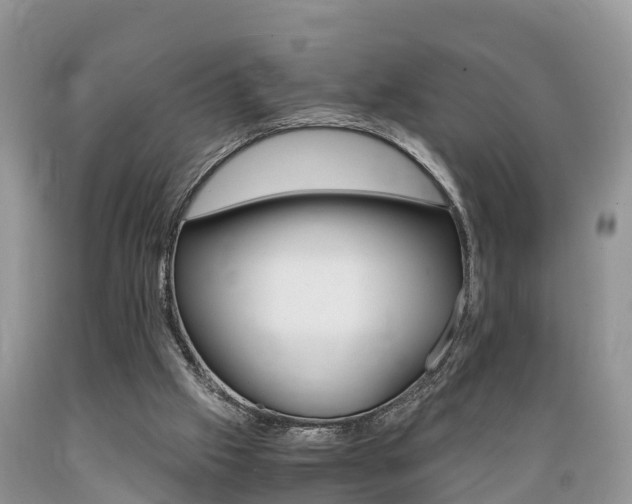 X0000089670057200706210802