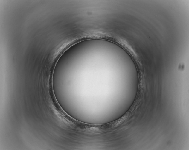 X0000089670058200706210802