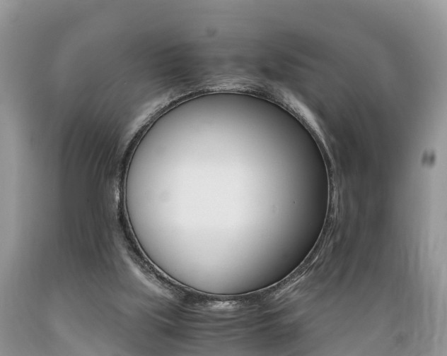 X0000089670059200706210802