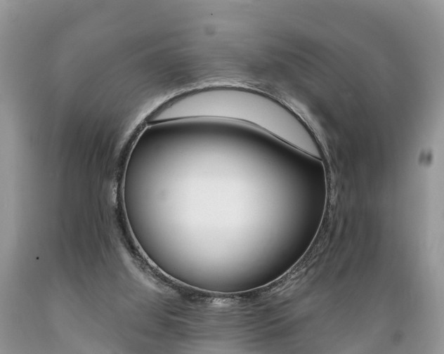 X0000089670060200706210802