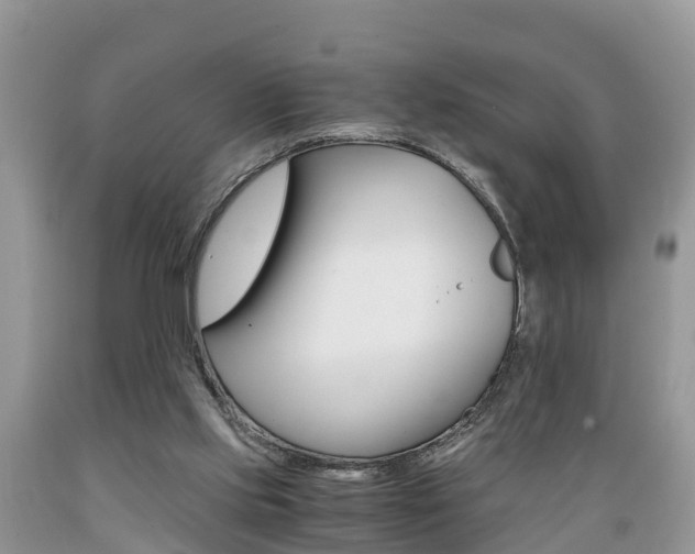 X0000089670061200706210802