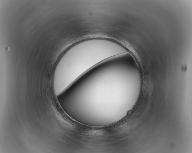 X0000089670063200706210802