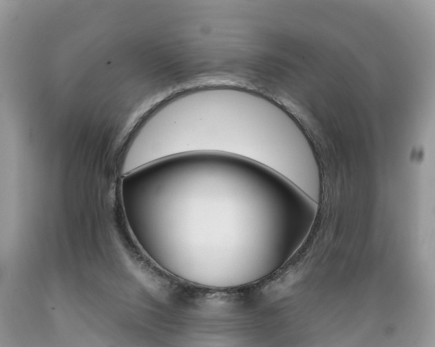 X0000089670064200706210802