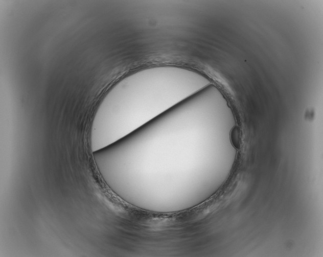 X0000089670065200706210802