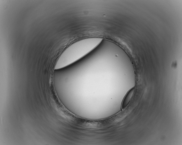 X0000089670069200706210802