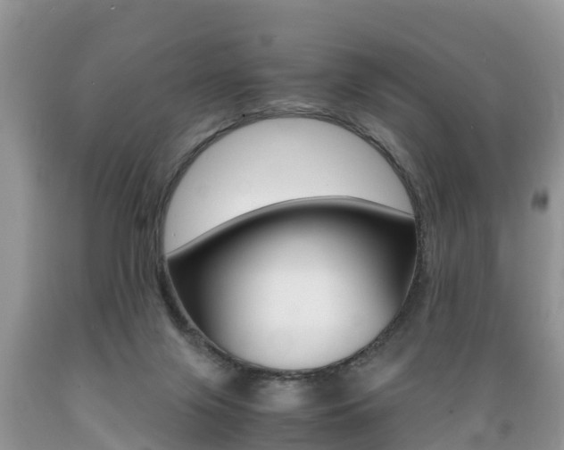 X0000089670071200706210802