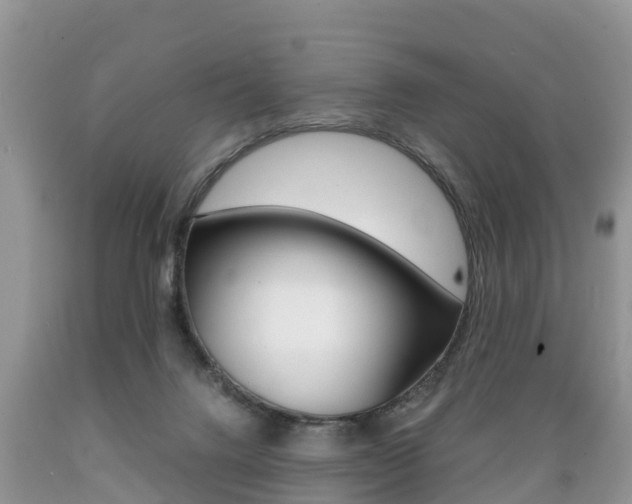 X0000089670072200706210802