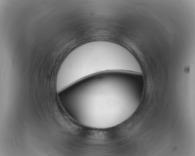 X0000089670073200706210802