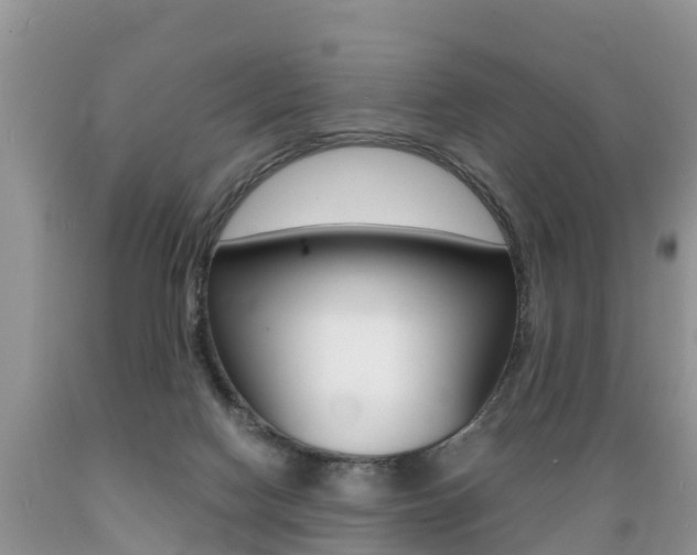 X0000089670074200706210802