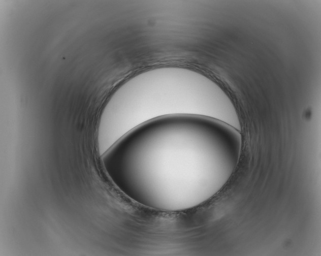 X0000089670076200706210802