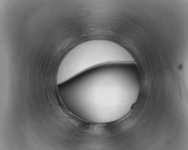 X0000089670078200706210802