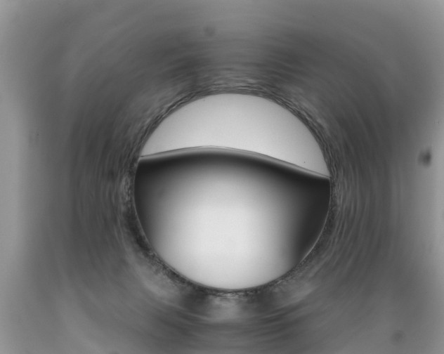 X0000089670079200706210802