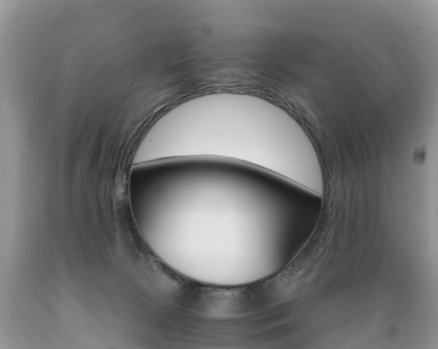 X0000089670081200706210802