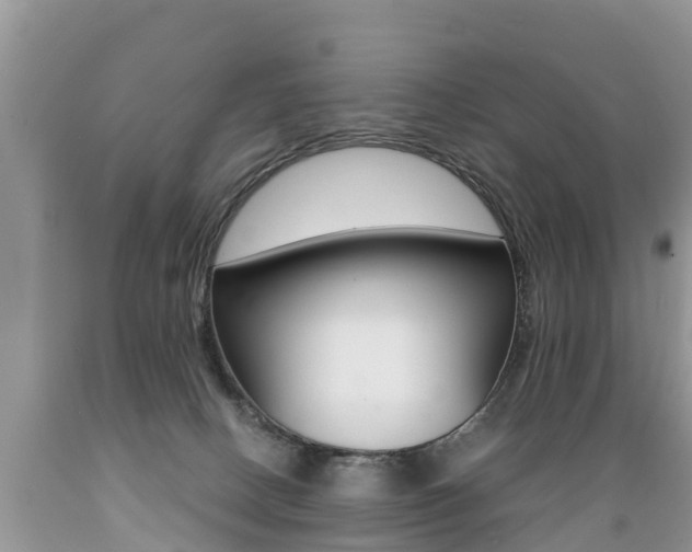 X0000089670082200706210802