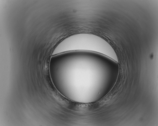 X0000089670084200706210802